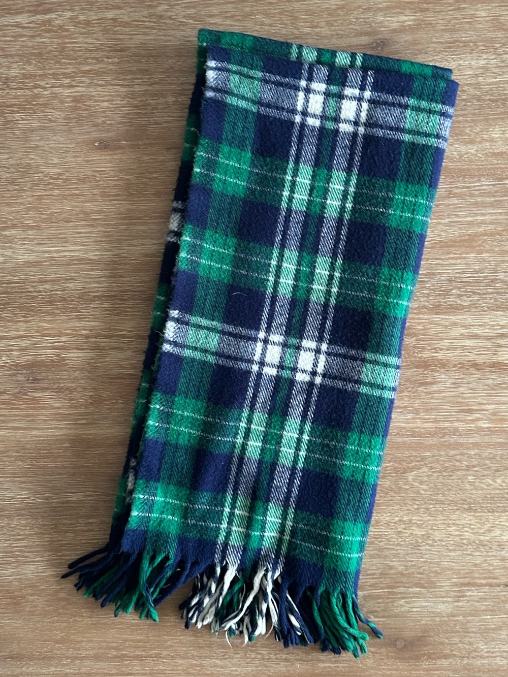 Faribo Classic Green & Navy Plaid Fringe Throw Blanket